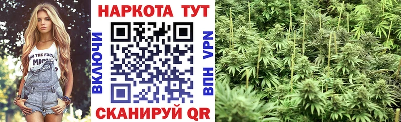 Купить закладку A-PVP  Кокаин  Меф мяу мяу  Каннабис  Гашиш  Кореновск