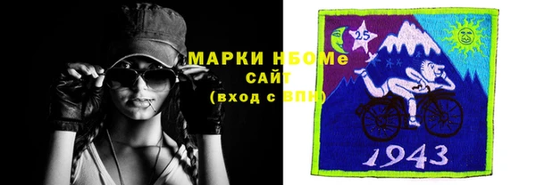 гашик Алексин
