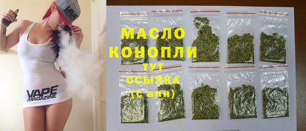 гашик Алексин