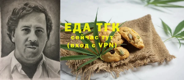 гашик Алексин